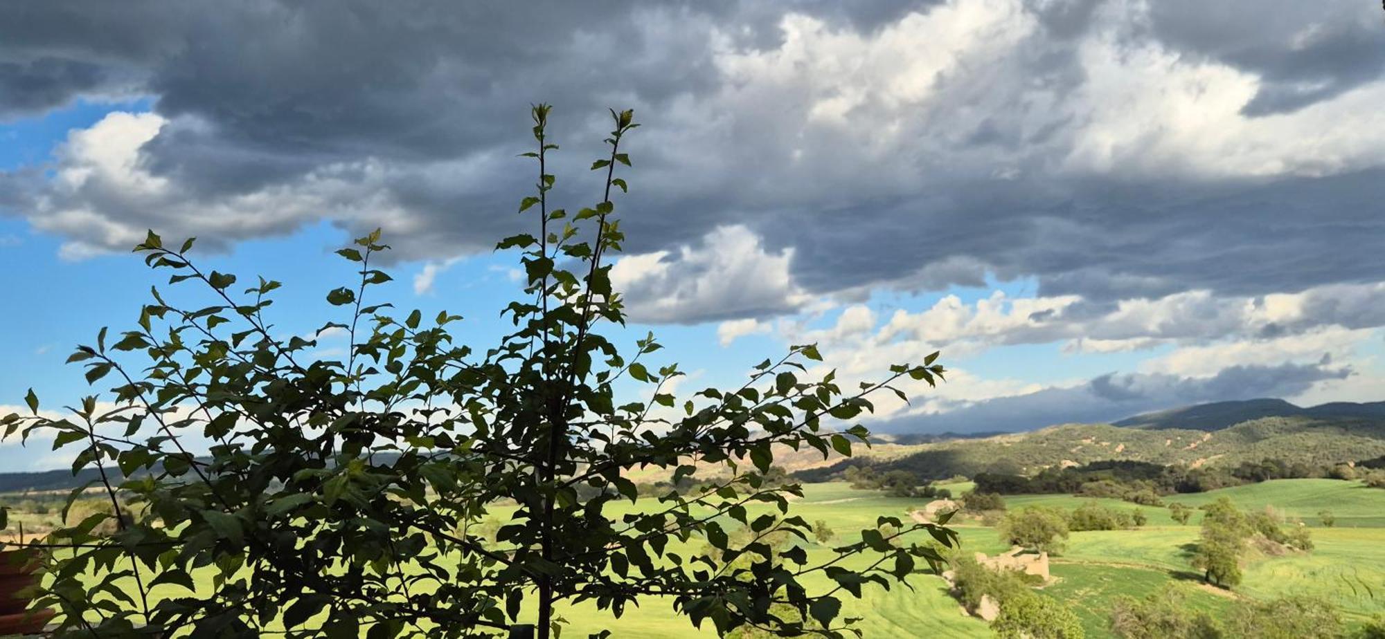 Can Gasol Turisme Rural Guialmons Exterior foto